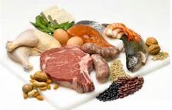 صادرات مواد پروتئینی و محصولات دریایی از گیلان به خارج