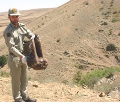 یک قطعه عقاب طلایی در گرمی به طبیعت گرمی بازگردانده شد