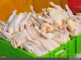 صادرات 394 تنی مرغ طی سه ماهه ابتدای سال از خراسان جنوبی