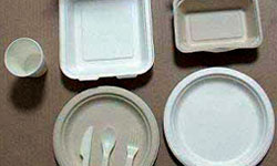 استفاده از ظروف یک‌‌بار مصرف گیاهی به جای پلاستیکی
