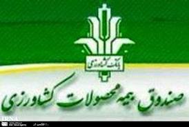 بیمه محصولات کشاورزی راهگشای جبران خسارات کشاورزان