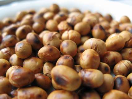 کار کشت دوم سویا در بیله سوار آغاز شد