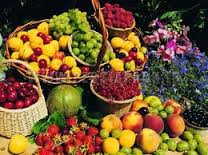 افزایش 20 درصدی تولید میوه های هسته دار درخراسان جنوبی