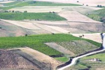 کشت نامناسب به دلیل فقدان نقشه تناسب اراضی