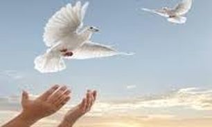 آزادی 9 هزار و 206 زندانی نیازمند