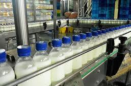 استان چهارمحال و بختیاری ظرفیت تبدیل به قطب تولید شیر کشور