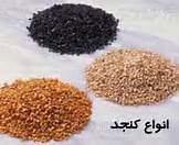 رتبه اول استان بوشهر در توليد بذر کنجد در کشور