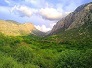 خطر بیابانی شدن مراتع استان کرمانشاه را تهدید می کند