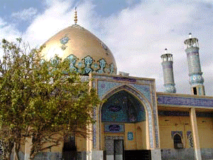 طرح توسعه آستان مقدس امامزاده صالح در منطقه یک