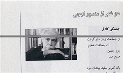 عذرخواهی مدیر مجله بخارا پس از توهین به زنان چادری