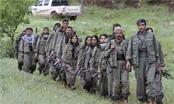 "اردوغان" بداند "کردها" برای مطالبات خود خون داده‌اند
