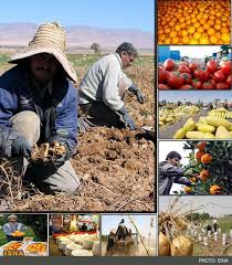 عملیات اجرایی نخستین شهرک صنعتی خصوصی صنایع تبدیلی، تکمیلی و غذایی