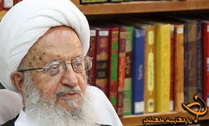 دولت مصر در مجازات عاملان جنایت علیه شیعیان تعلل نکند