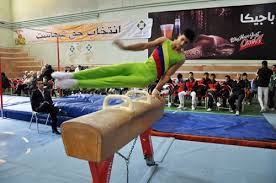 نایب قهرمانی تیم ژیمناستیک هرمزگان درلیگ برتر کشور