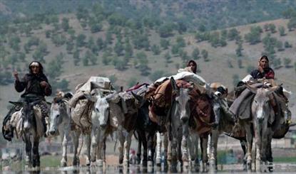 آماده سازی 480 کیلومتر راه ارتباطی برای کوچ عشایر اردبیل