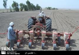اختصاص بیش از 10 هزارهکتارزمین در بشرویه به کشت غلات