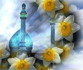 احیایی به رنگ انتظار