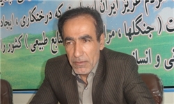 شرکت نفت گچساران یاور منابع طبیعی در جنگل‌کاری / گازرسانی روستایی بهترین خدمت به جنگل‌ها