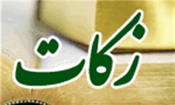 200 اصله درخت در شهرستان انار پلاک‌گذاری شد
