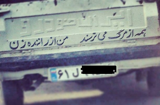 عکس/ترس وانتی از راننده زن!