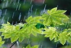 بارش پراکنده باران در برخی نقاط استان چهارمحال و بختیاری