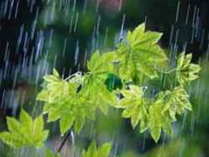 بارندگی در سندرک جانی تازه به این منطقه بخشید