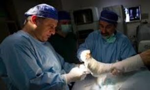 توانبخشی راهکار نهایی درمان بیماری ها نیست
