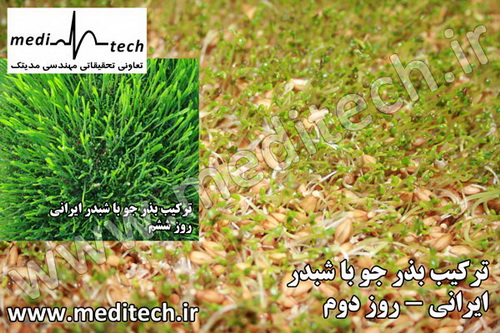 پیش‌بینی افزایش کشت علوفه شبدر برسیم در آمل
