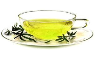 چای سبز مصرف کنید تا از ابتلا به سرطان مری و لخته شدن خون در امان بمانید