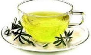 با خواص گیاه دارویی چای كوهی بیشتر آشنا شوییم