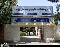پژوهشكده علوم توليد مثل يزد همسو با مراكز علمي دنيا فعاليت مي كند