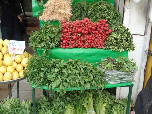 زمان برداشت سبزی ها وابسته به موقعیت بازار فروش