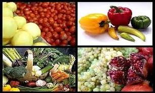 افزایش چشمگیر میزان تولید محصولات کشاورزی در آذربایجان غربی