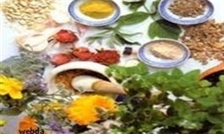 فعالیت در زمینه گیاهان دارویی نیازمند صبر و بردباری است