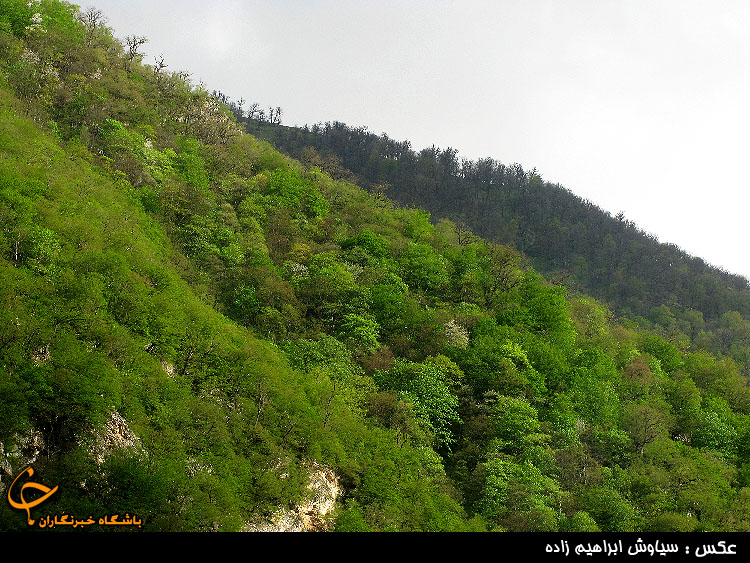 کندلوس، نگینی در دل طبیعت البرز شمالی