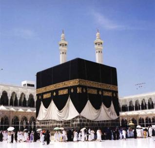 كاهش 50 درصدي عمره گذاران