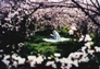 نماز صبح مانعی برای سرطان