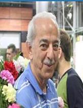 مجزا در مسابقات آسيايي شيرجه قضاوت مي‌كند