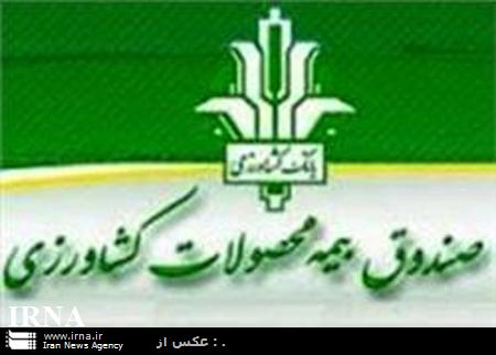کمتراز50درصداراضی کشاورزی مهاباد،زیرپوشش بیمه