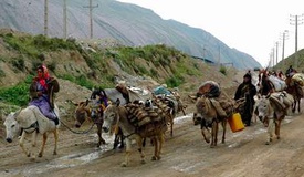 کاهش شدید جمعیت عشایری کرمان
