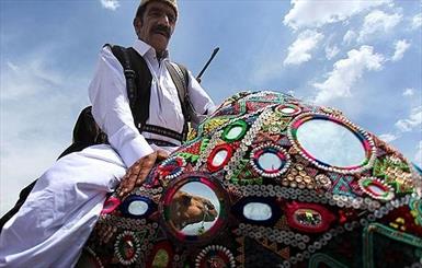عشایر کرمان پیر می شوند/ یلاق و قشلاق برای تامین آب آشامیدنی