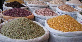 پیش بینی برداشت 7000 تن حبوبات از مزارع کهگیلویه و بویراحمد
