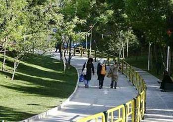 توسعه شتابان فضای سبز در بندر گناوه/ افزایش یک‌هزار درصدی سرانه فضای سبز