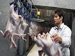 کشتارگاه دام نیمه صنعتی در زرندیه افتتاح شد