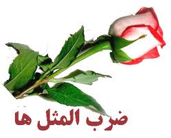 "کاسه داغ‌تر از آش" از کجا آمده است؟