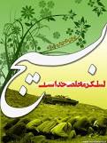 در مشهد برگزار شد؛ همایش بسیج دانش آموزی