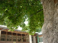 شاهان‌دشت،توریستی ترین روستای ایران