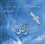مدعیان آزادی کاری جز به خون و خاک کشیدن مردم ندارند