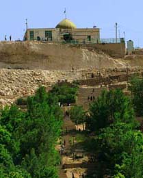 بقعه متبرکه حضرت امامزاده حمزه علی (ع) در بلداجی