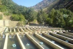 بهره برداری از مجتمع پرورش ماهی شهرستان کوهرنگ